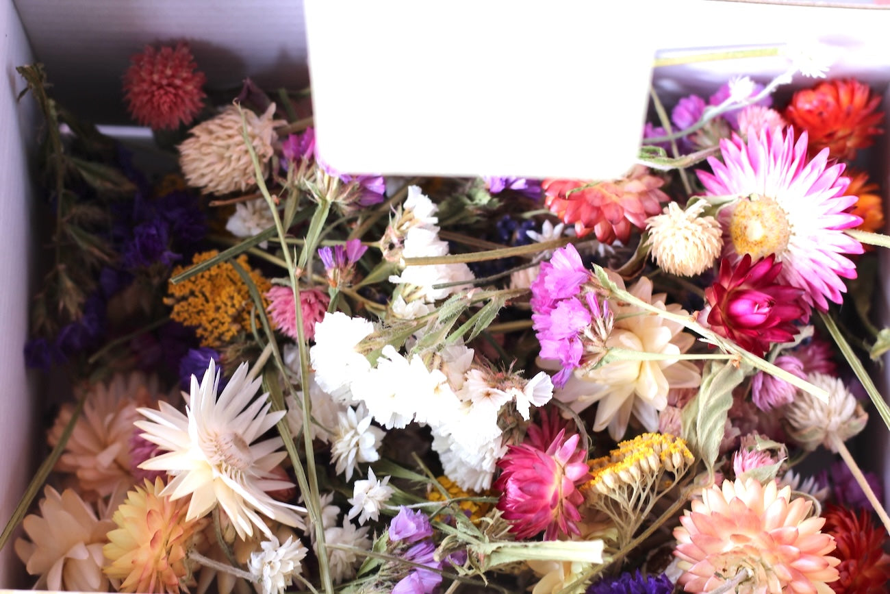 DIY Craft Box of Irish dried flowers