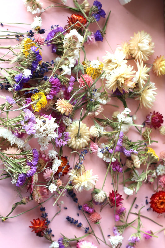 Diy craft box of organic irish dried flowers