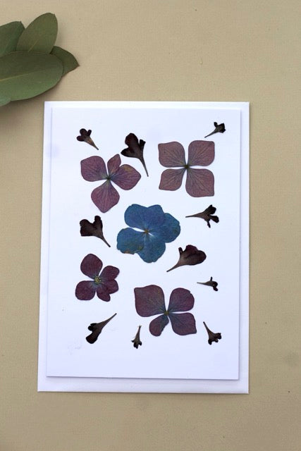 Handmade blank pressed flower greeting card (Hydrangea)