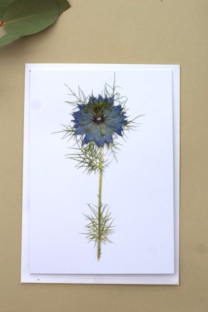 Handmade blank pressed flower greeting card (Nigella)