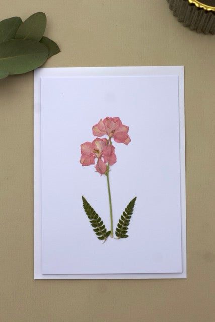 Handmade blank pressed flower greeting card (Larkspur Pink)