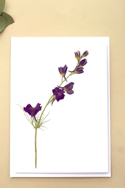 Handmade blank pressed flower greeting card (Larkspur)
